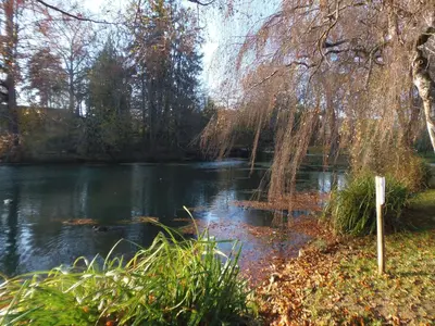 Paysage naturel près de l'appartement