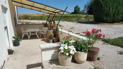 Jardin de l'établissement Gîte L'étable