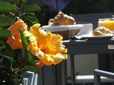 Nourriture dans l'hôtel ou à proximité