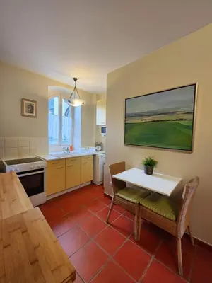 Cuisine ou kitchenette dans l'établissement Apartment Bonnard - best view in Dijon 90 sqm airconditioned apart