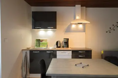 Cuisine ou kitchenette dans l'établissement L'Orée des Lacs (Appartement n°3)