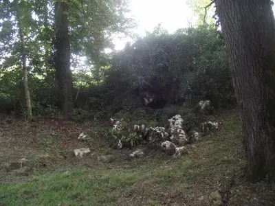 Animaux dans l'appartement ou à proximité