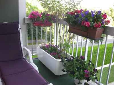 Jardin de l'établissement Chambre d'hôtes dans Résidence