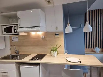 Cuisine ou kitchenette dans l'établissement City Loft Apparthotel