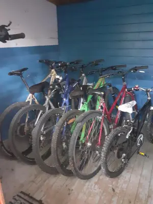 Vélo sur le terrain de l'établissement LES GITES DU PARC KOTA DOUBLE climatisé ou dans les environs