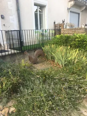 Jardin de l'établissement Studio Clémenceau