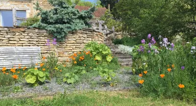 Jardin de l'établissement Vineyard Garden Studio