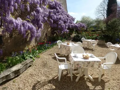 Jardin de l'établissement Hôtel De La Ferté