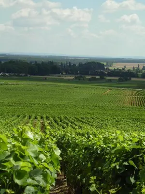 Paysage naturel près de l'hôtel