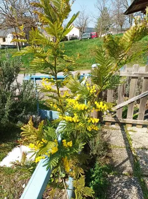 Jardin de l'établissement le relais de Sommant