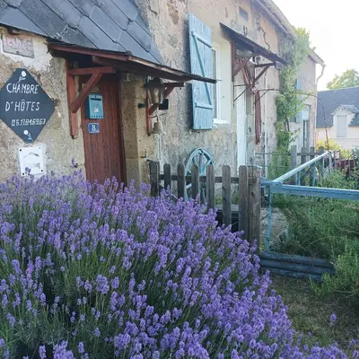 Jardin de l'établissement le relais de Sommant
