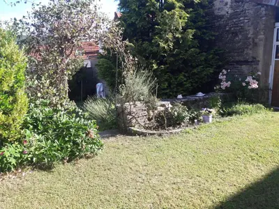 Jardin de l'établissement LA ROSERAIE DE ST REMY