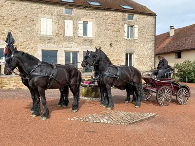 Animaux dans la maison d'hôtes ou à proximité