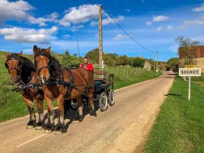 Animaux dans la maison d'hôtes ou à proximité