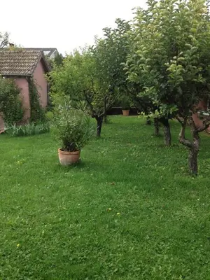 Jardin de l'établissement Les portes du vignoble