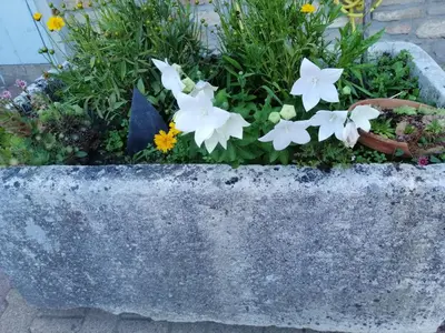 Jardin de l'établissement Gîte Pierre et Marie