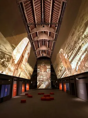 Télévision ou salle de divertissement dans l'établissement La Saline Royale
