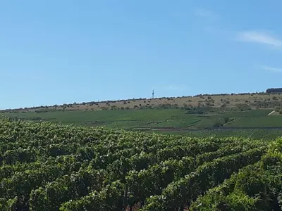 Paysage naturel près de la maison de vacances