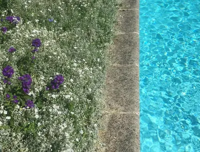 Piscine de l'établissement Maison d'hôtes Fleurs de Vignes ou située à proximité