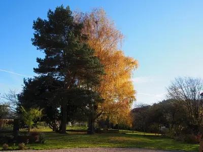 Jardin de l'établissement Escale en Revermont