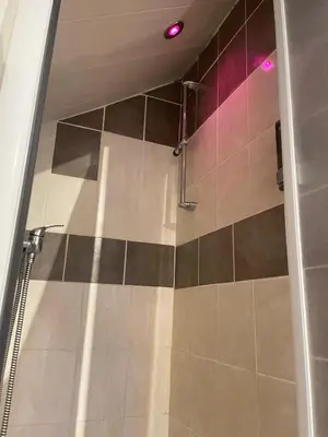 Salle de bains dans l'établissement Le Duplex Cosy - Gare & Cité Gastronomique