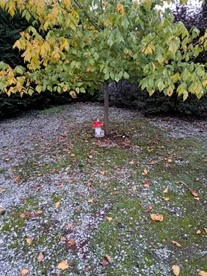 Jardin de l'établissement Gîte Le piège à rêves