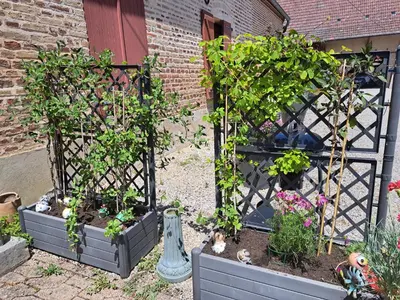 Jardin de l'établissement Gîte Le piège à rêves