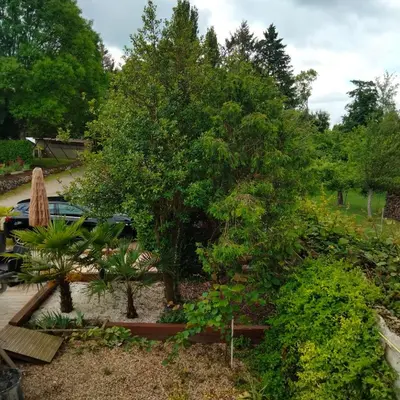 Jardin de l'établissement Les 3 orchidées