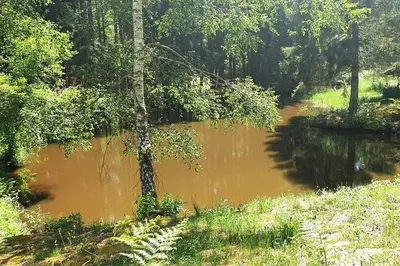 Paysage naturel près de le chalet