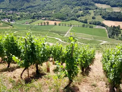 Paysage naturel près de la maison de vacances