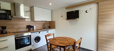 Cuisine ou kitchenette dans l'établissement Le domaine du Parc Thermal