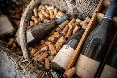 Boissons dans l'établissement Huttopia Meursault