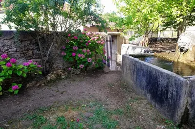 Jardin de l'établissement GITE LE SAINT-AMOUR