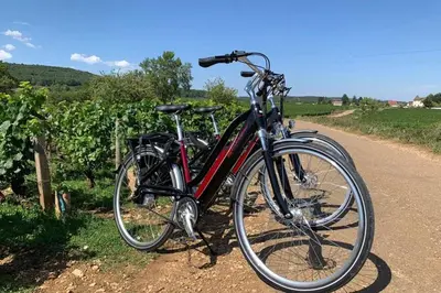 Vélo sur le terrain de l'établissement Le Clos des Jardins ou dans les environs