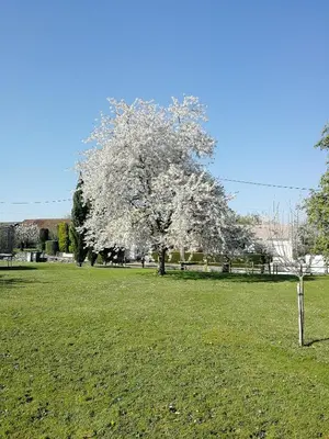 Jardin de l'établissement Studio à la campagne dans corps de ferme rénovée