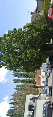 Plan de l'établissement LE PHENIX à internet haut débit & parking