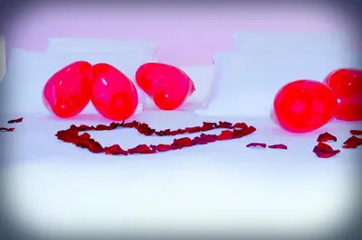 Plan de l'établissement Le Vénus - Appartement SPA Privatif Balnéo Sauna