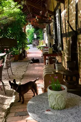 Jardin de l'établissement Manoir-de-Sagy