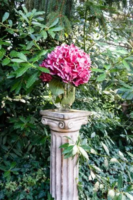 Jardin de l'établissement Manoir-de-Sagy