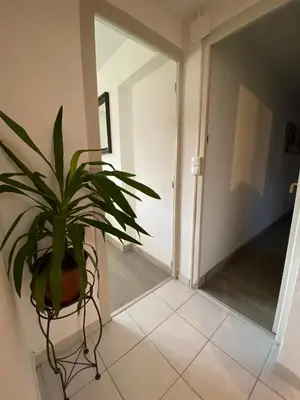Plan de l'établissement Le gîte du cavalier au cœur de la Forêt/jacuzzi