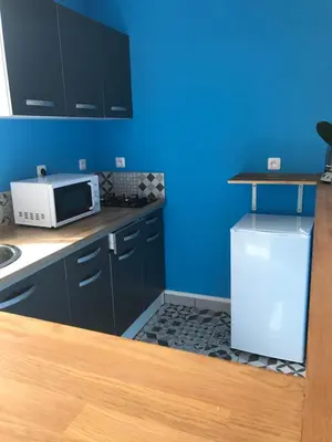 Cuisine ou kitchenette dans l'établissement Appartement Dulac
