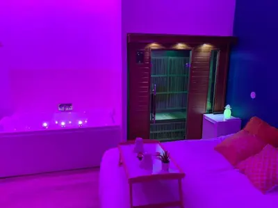 Un ou plusieurs lits dans un hébergement de l'établissement Appartement Spa - NAHLEO Scandinave