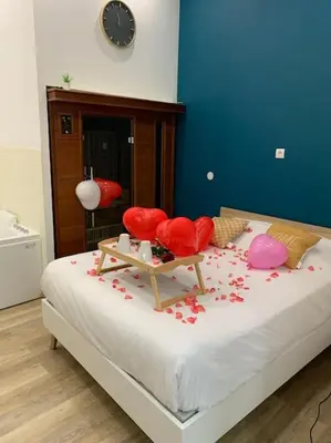 Un ou plusieurs lits dans un hébergement de l'établissement Appartement Spa - NAHLEO Scandinave