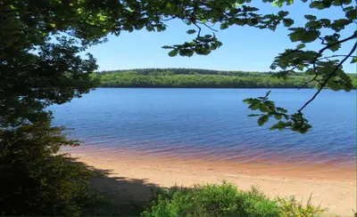 Paysage naturel près de la maison de vacances