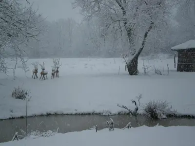 L'établissement La Maison Du L.A.C. en hiver