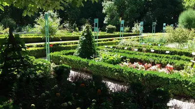Jardin de l'établissement Meublé de tourisme 2* les Jardins de l Arquebuse