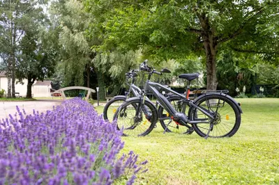 Vélo sur le terrain de l'établissement Hotel Village Motel ou dans les environs
