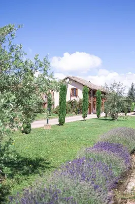 Jardin de l'établissement Hotel Village Motel