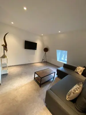 Télévision ou salle de divertissement dans l'établissement Le Duplex St Nicolas