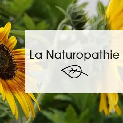 Certificat, récompense, panneau ou autre document affiché dans l'établissement La Maison des Lys